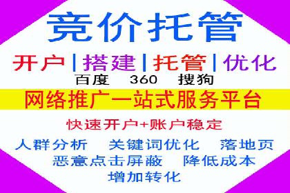 SEM服务公司助力电商增长案例